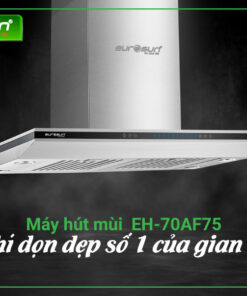 Máy hút mùi chữ T Eurosun EH-90AF75