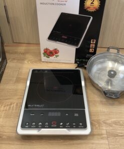 Bếp từ đơn Eurosun EU-T185S