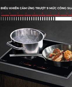 Bếp điện từ đôi Eurosun EU-TE259Pro