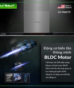 Máy hút mùi chữ T Eurosun EH-70AF79