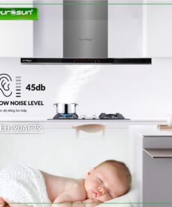 Máy hút mùi chữ T Eurosun EH-70AF79