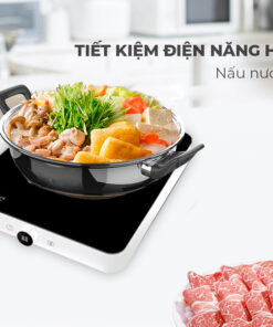 Bếp từ đơn Eurosun EU-T197