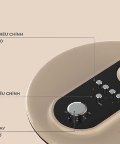 Quạt cây Hawonkoo AC FAH-010-CF 7WINGS
