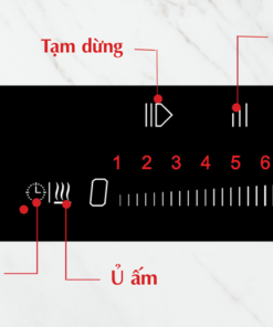 Bếp từ đôi Chef's EH-DIH868