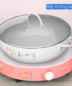 Bếp từ đơn kèm nồi Hawonkoo CEH-101-I-PK