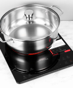 Bếp từ đơn Toshiba IC-20S1PV