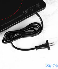 Bếp từ đơn Toshiba IC-20S1PV