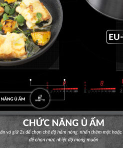 Bếp từ đôi Eurosun EU-T888GE (SILVER)