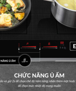 Bếp từ đôi Eurosun EU-T899G