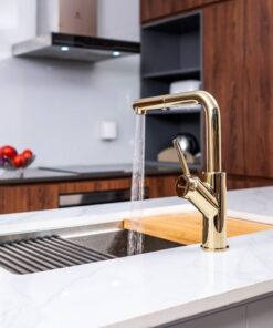 Vòi rửa bát dây rút Konox Artan Gold