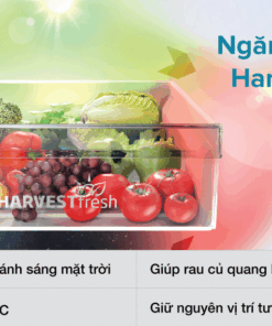 Tủ lạnh ngăn đá dưới 2 cánh Beko Inverter 340 lít RCNT340I50VZK