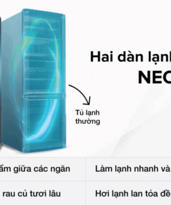 Tủ lạnh ngăn đá dưới 2 cánh Beko Inverter 340 lít RCNT340I50VZK