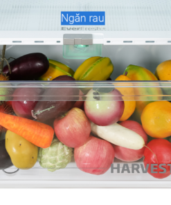 Tủ lạnh ngăn đá trên 2 cánh Beko Inverter 375 lít RDNT401E50VZDHFSU