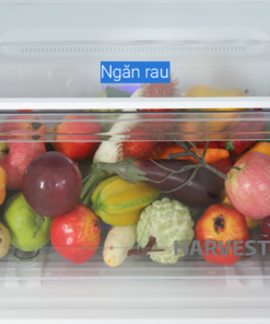 Tủ lạnh ngăn đá trên 2 cánh Beko Inverter 375 lít RDNT401I50VHFSU