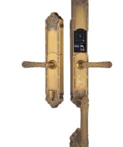 Khóa điện tử đại sảnh DEMAX SL819