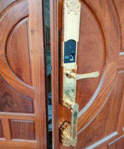 Khóa điện tử đại sảnh DEMAX SL819