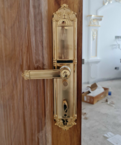 Khóa điện tử đại sảnh DEMAX SL822 Gold