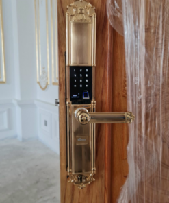 Khóa điện tử đại sảnh DEMAX SL822 Gold