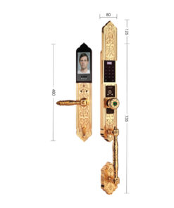 Khóa điện tử đại sảnh DEMAX SL938 Khóa điện tử đại sảnh DEMAX SL938