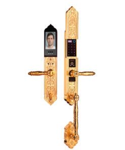 Khóa điện tử đại sảnh DEMAX SL986