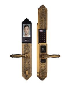 Khóa điện tử đại sảnh DEMAX SL9862