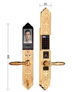 Khóa điện tử đại sảnh DEMAX SL9862