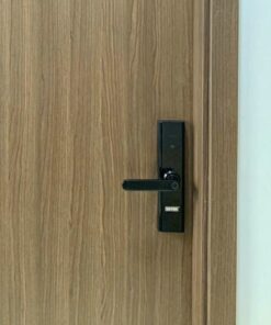 Khóa điện tử cửa gỗ GIOVANI GSL-K591