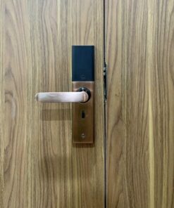 Khóa điện tử cửa gỗ GIOVANI GSL-K591