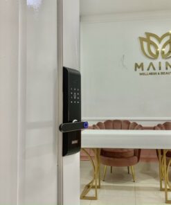 Khóa điện tử cửa gỗ GIOVANI GSL-U311B