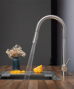 Vòi rửa bát Kluger KLF0009S