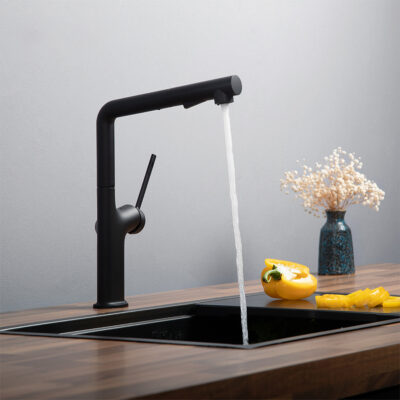 Vòi rửa bát Kluger KLF0001B