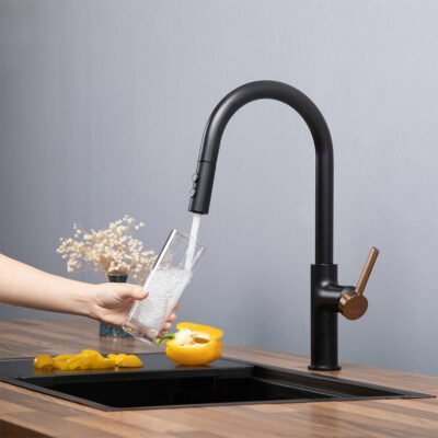 Vòi rửa bát Kluger KLF0005B