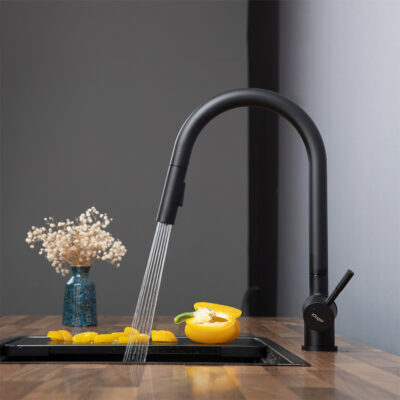 Vòi rửa bát Kluger KLF0008B