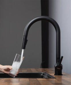 Vòi rửa bát Kluger KLF0008B