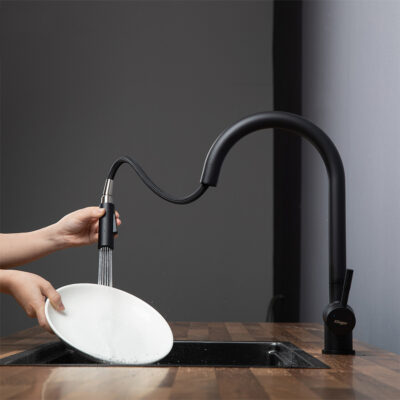 Vòi rửa bát Kluger KLF0008B