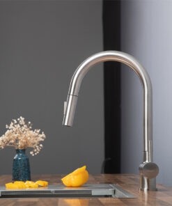 Vòi rửa bát Kluger KLF0008S