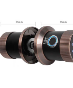 Khoá vân tay LAFFER B12