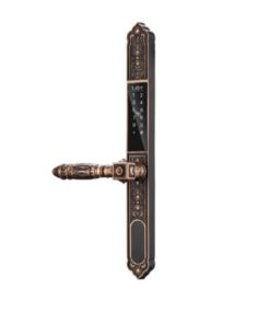 Khoá vân tay 2 mặt LAFFER WA02