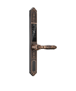 Khoá vân tay 2 mặt LAFFER WA02