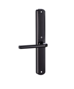 Khoá vân tay 2 mặt LAFFER XF19