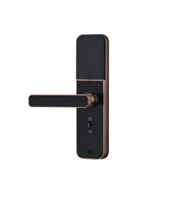 Khoá vân tay LAFFER LX08