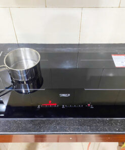 Bếp từ EH-DIH836
