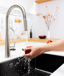 Vòi rửa bát dây rút NOBINOX WINTO NX501 Vòi rửa bát dây rút NOBINOX WINTO NX501