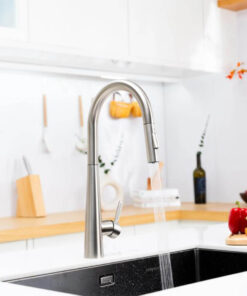 Vòi rửa bát dây rút NOBINOX WINTO NX501 Vòi rửa bát dây rút NOBINOX WINTO NX501